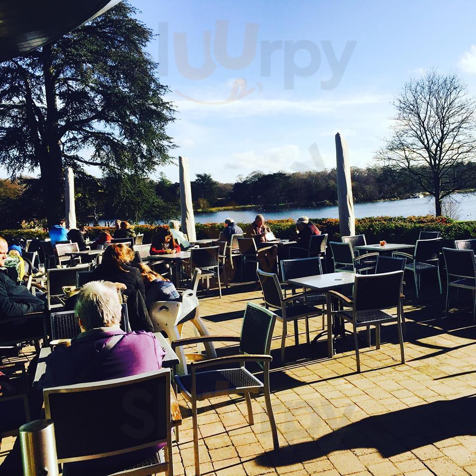 Hins in Trentham Original Menus, Reviews and Prices