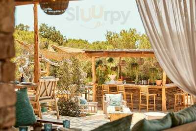 The Garden At Teranka Formentera