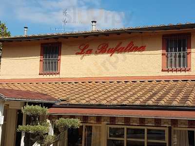 La Bufalina, Torre del Lago Puccini