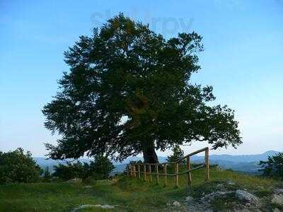 Agriturismo Sasso Simone Simoncello, Sestino