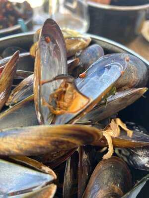 La Moule Rit, Sète