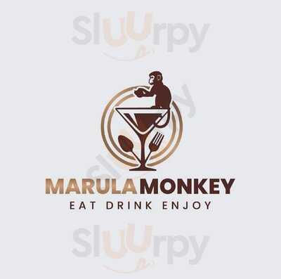 Marula Monkey