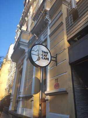 Tiny Cat Café