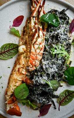 Antica - Modern Italian Cuisine