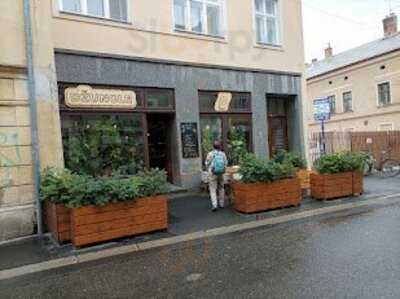 Cafe Džungle Prostějov, Prostějov