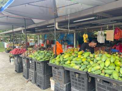 Mantin Gemuk Durian & Buah-buahan