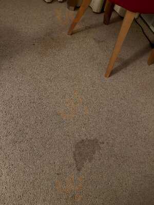 Fletcher Hotel-restaurant Sparrenhorst-veluwe