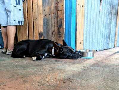 Kristy's On The Caribe menu