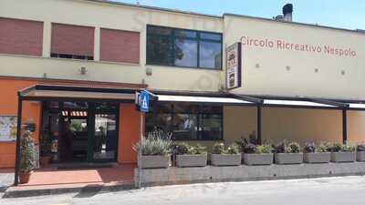 Circolo Ricreativo Nespolo, Pistoia