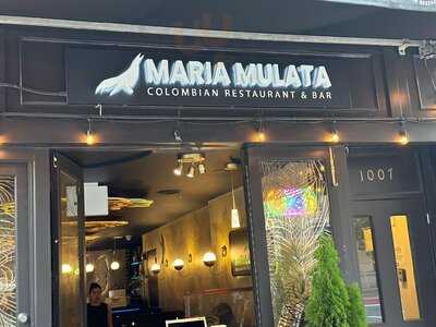 Maria Mulata Latin Food Restaurant & Bar