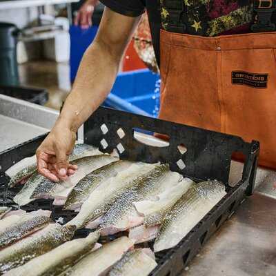 Vanlandschoot & Son's Fish Food Truck, Marquette