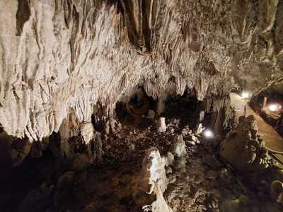 Grotta del Romito, Papasidero