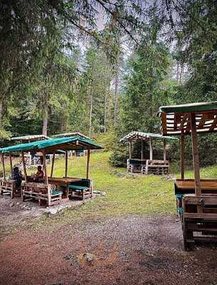 Picnic Orso Bruno, Tuenno