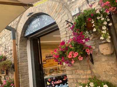 Caffé Dei Fiori, Spello