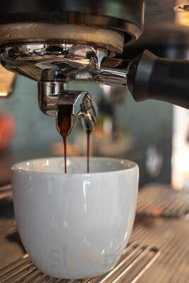 Ant Coffee