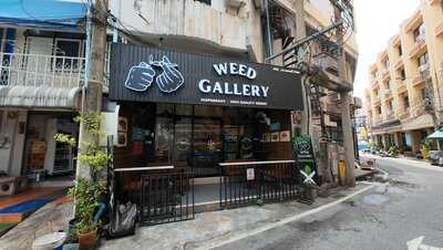 Weed Gallery Pattaya