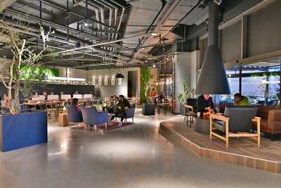 Coffee 1919 Elya Center Avm