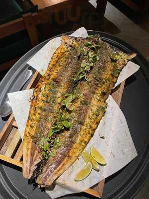 Fish And Co