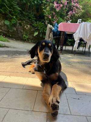 AGRITURISMO APICOLTURA SANACURA. (Ponte Tenaglia), Lecco