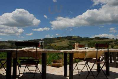 Azienda Agricola Podere Pian di Meta Vecchia, Siena