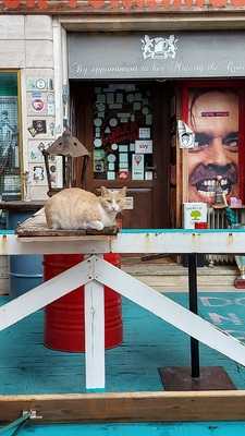 Jack Torrance's Pub, Sezze