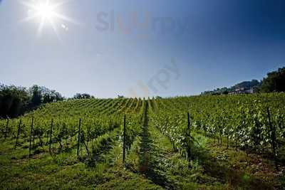 Tenuta Carbognano, Rimini