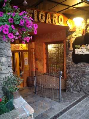 Trattoria Figaro