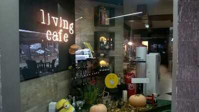 Living Cafe, Casinalbo