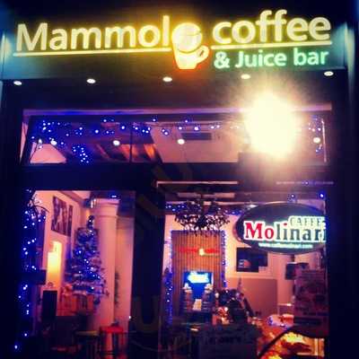 Mammolo Coffee, Modena