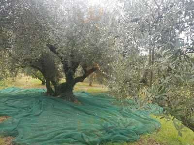 Ca Guidi, Longiano