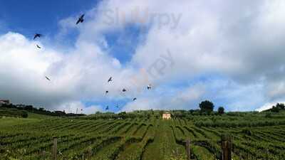 Fattoria Licia, Villamagna