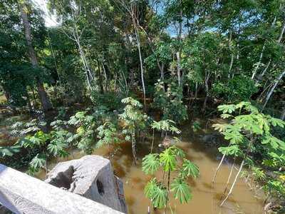 Restaurante Selva Amazônica