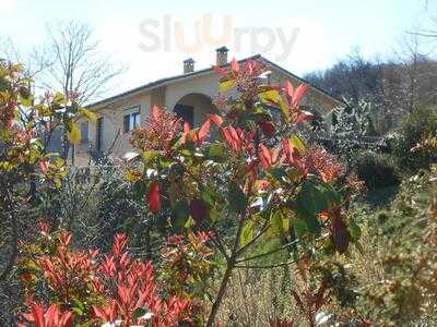 Azienda Agrituristica Costa della Figura, Montefelcino