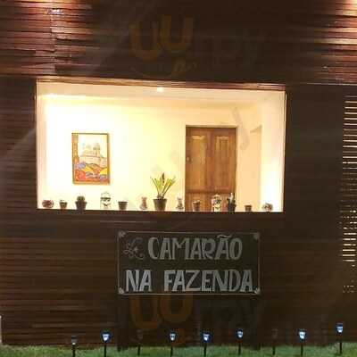 Camarão Na Fazenda