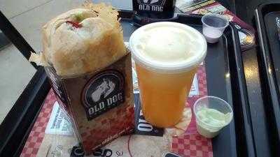 old dog dogueria goiania