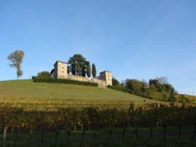 Aquila d'Oro, Dolegna del Collio