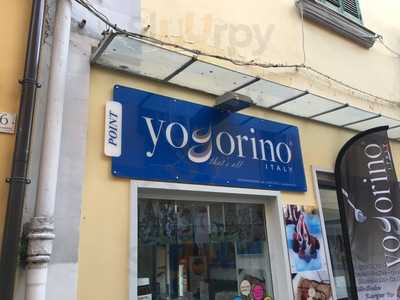 Yogorino Caserta, Caserta