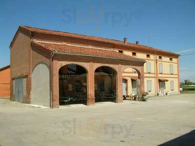 Azienda Agricola Oddi Luciano E Benvenuti Patrizia