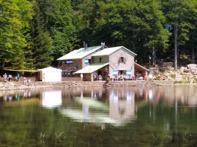 Rifugio Mariotti, Bosco di Corniglio