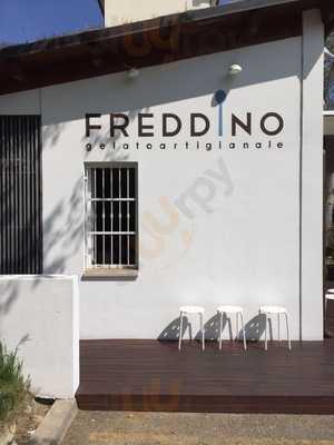 Freddino Gelateria Forlì, Forli