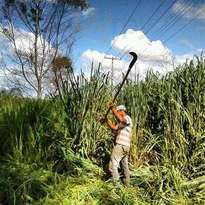 Joaozinho Merces Restaurante