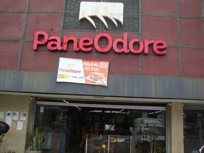 Paneodore