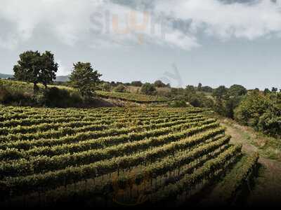 Agriturismo la Cantina, Corchiano