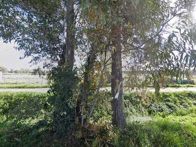 Il Miglio Verde, Ostia Antica