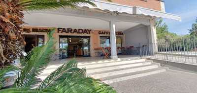 Faraday Bar