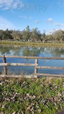 Azienda Agrituristica Aquarium, Velletri