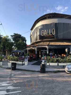 Gallo Grill