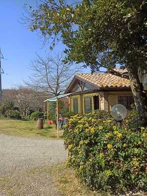 Agriturismo l'Alloro, Valentano