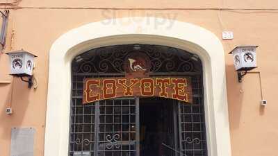 Coyote Pub, Civitavecchia