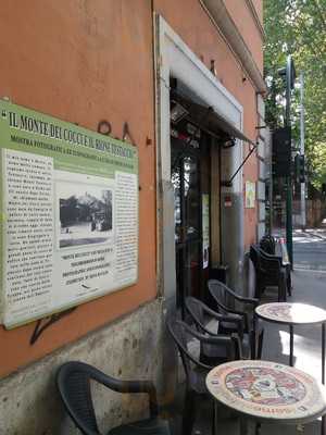 Il Seme e la Foglia, Roma